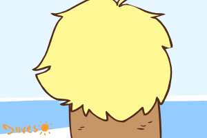 bfd.gif