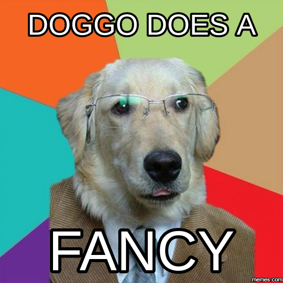 does a fancy doggo know your meme b58 does a fancy doggo know your meme