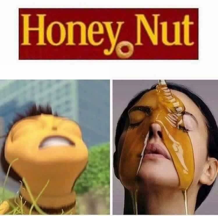 honey nut bee movie know your meme e56 honey nut bee movie know your meme,Why Is Bee Movie A Meme