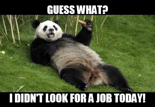 Unemployed Panda Pandas Know Your Meme