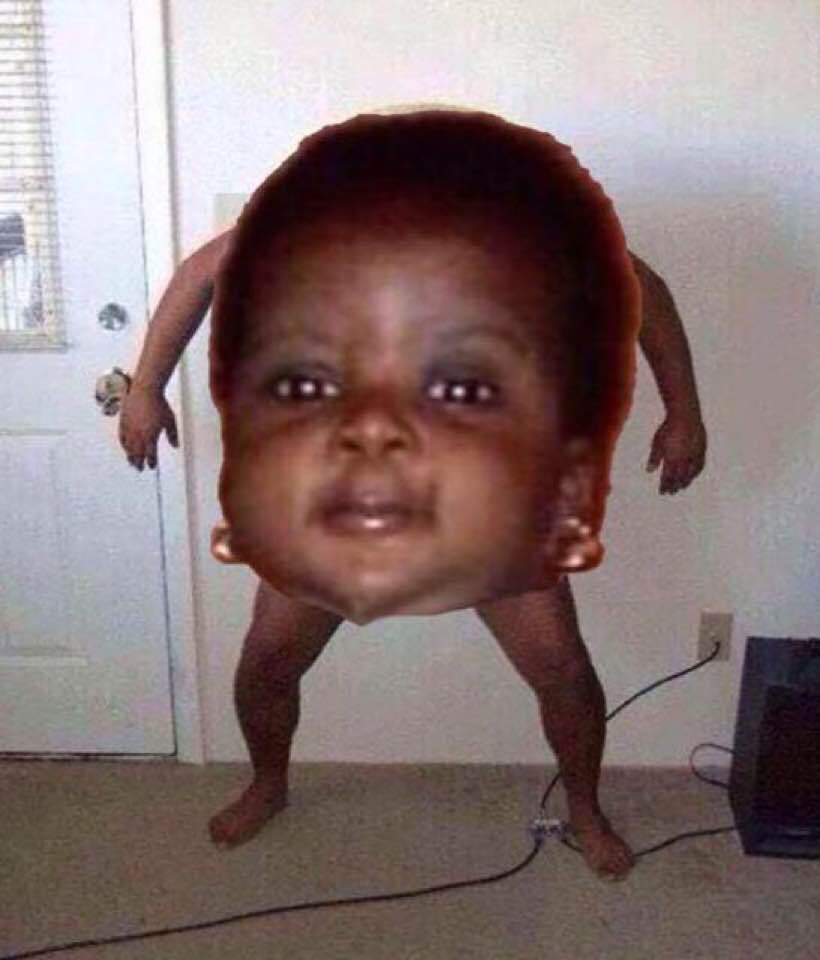 wtf wtf