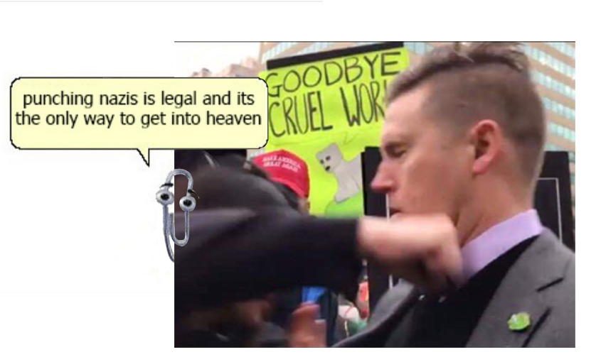 Image result for richard spencer getting punched