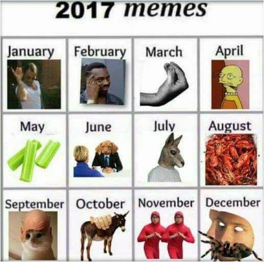 a time traveler told me these would be the new memes of 2017 3d5 a time traveler told me these would be the new memes of 2017
