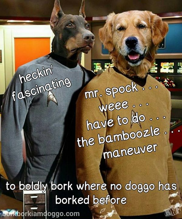 Boldly Bamboozle Bamboozle Know Your Meme