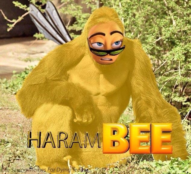 harambee bee movie know your meme 625 harambee bee movie know your meme,Why Is Bee Movie A Meme
