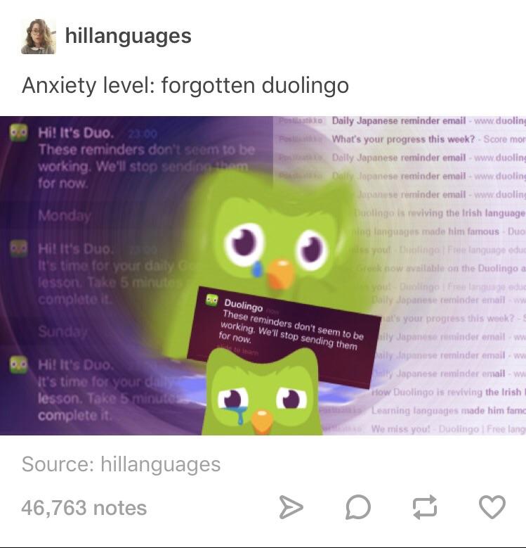 I would laugh but this is true Duolingo Know Your Meme