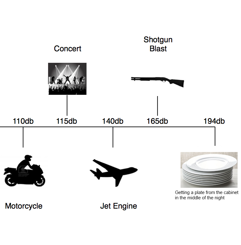 getting a plate from the cabinet decibel level charts know your meme decibel level charts