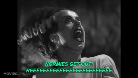 Bride of the monster essay