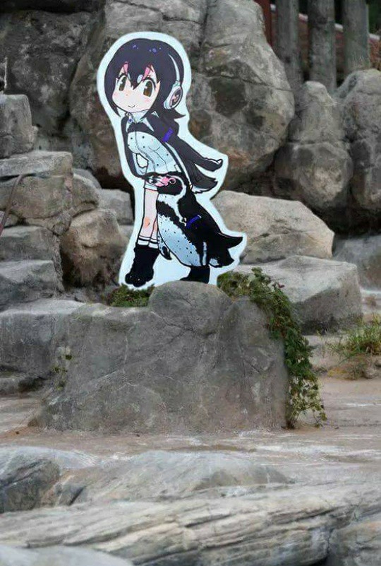 I have something in my eye Grapekun Know Your Meme I have something in my eye Grapekun Know Your Meme