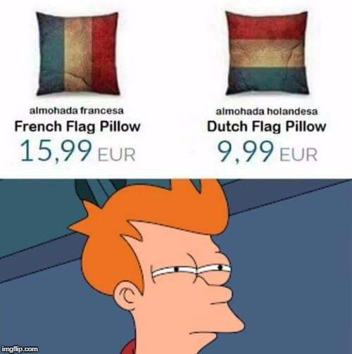 french Flag Pillow / Dutch Flag Pillow Futurama Fry / Not Sure If Know Your Meme