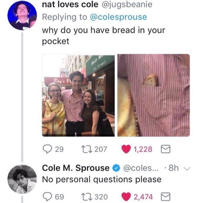 No Personal Questions | Cole Sprouse's Tumblr Experiment | Know Your Meme