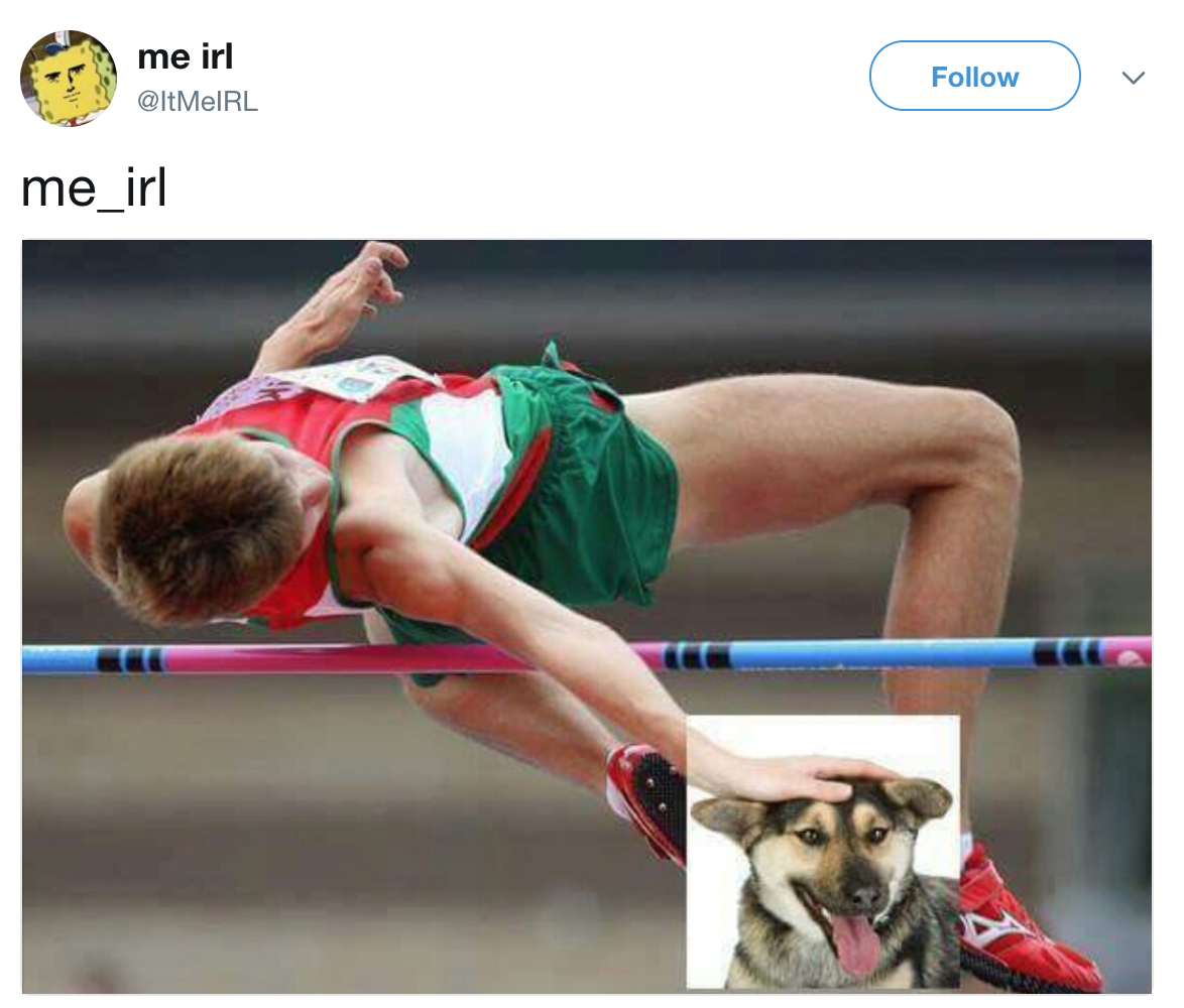 Pole Vaulter Dog Petting Know Your Meme