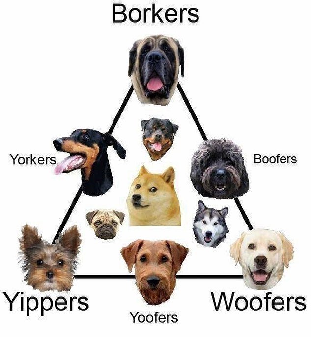 Borker / Yippers / Woofers | Doggo | Know Your Meme