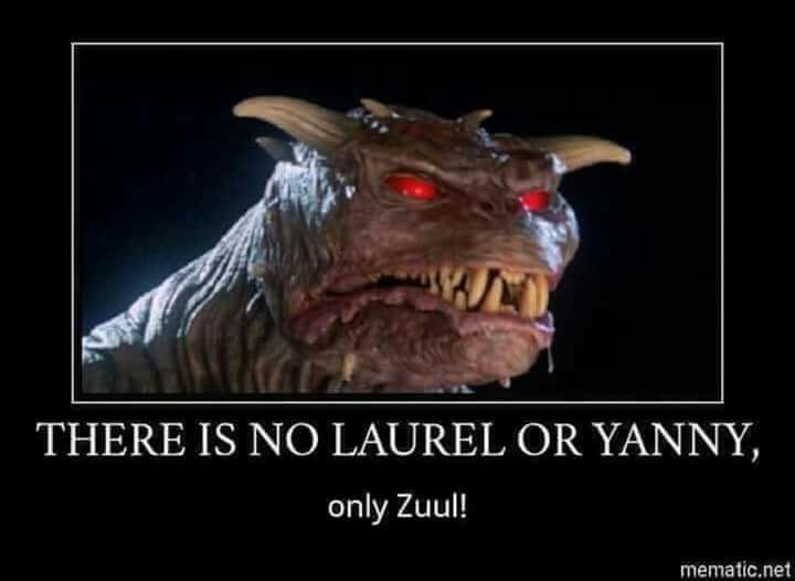 There is no Laurel or Yanny, only Zuul! Yanny or Laurel Know Your Meme