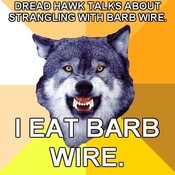 Courage-wolf.2009-04-09.17-22-23