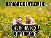 Cat-conspiracy