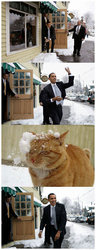 Obama-snowball
