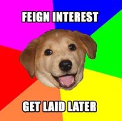 Feigndog
