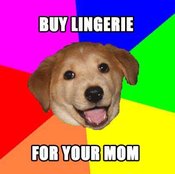 Lingeriedog