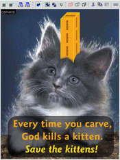 Carve_kitten