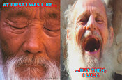 Lold1_copy
