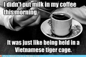 Vietnamese-tiger-cage
