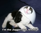 I_m_the_juggernaut_bitch_