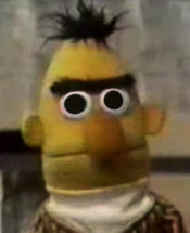 Bert
