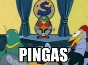 Pingas