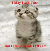 Lolcat