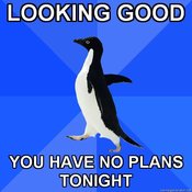 Socially-awkward-penguin-looking-good-you-have-no-plans-tonight