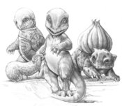 Pokes