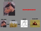 Hestmatte