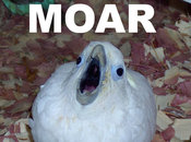 Moar