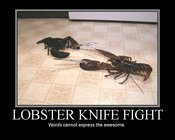 Lobsterknifefightawesome1