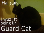 Lilleth_guardcat