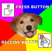 Advicedog2