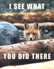 Redfox_112-face_out_of_logs_copy