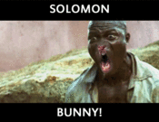 Solomonbunny