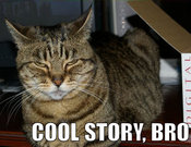 Cool_story_bro_trollcat