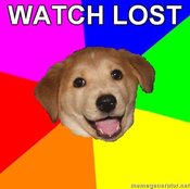 Advice-dog-watch-lost-