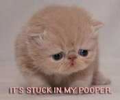 Itsstuckinmypooper