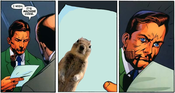 I-wish-its-squirrel