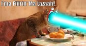 Cat-imafirin-ma-lazrs
