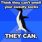 Socks1