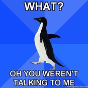 Socially-awkward-penguin-what-oh-you-werent-talking-to-me