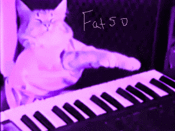 891blog_keyboard_cat