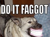 Doitfaggotdogteeth