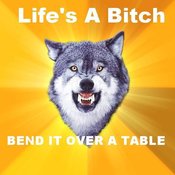 Wolf