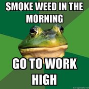 Foul-bachelor-frog-smoke-weed-in-the-morning-go-to-work-high